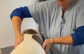 osteopathie et acuponcture