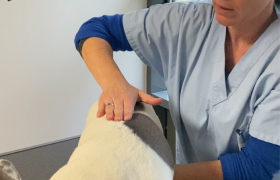 osteopathie et acuponcture