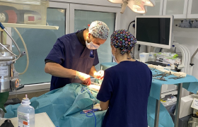 chirurgie